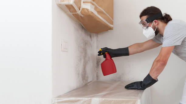Professional Bathroom Mold Removal technician working in Lewisville, NC